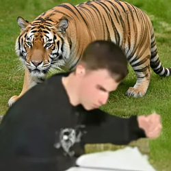 JOE