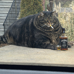 Whiskey / USDC