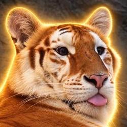 Pussy