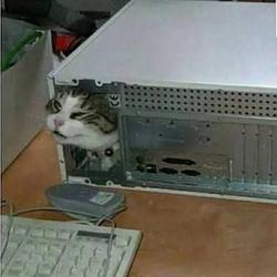 CPU
