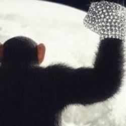 Monkeys