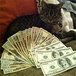 Ca$hcats / SOL