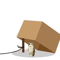 Cat Lure