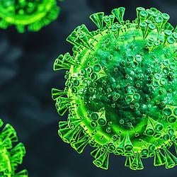 corvirus