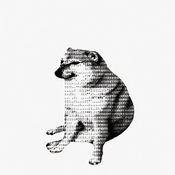 cashdog
