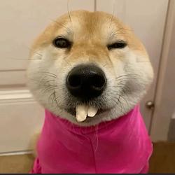 Inu2