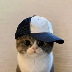 Cap