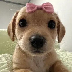 Milly