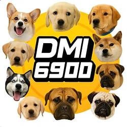 DMI6900 / SOL