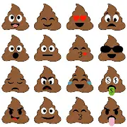 Very poopy