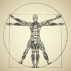 PROHUMANAI / WETH
