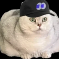 FOMOCAT