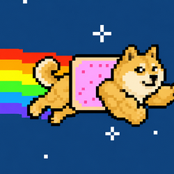 NYDOG