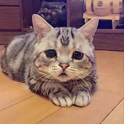 LUHU