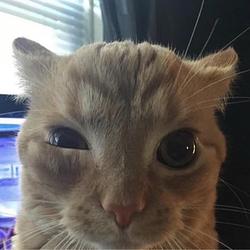 SUSCAT