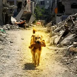 NAZOK
