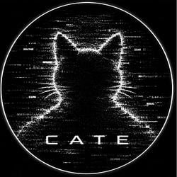 Noiz Cate