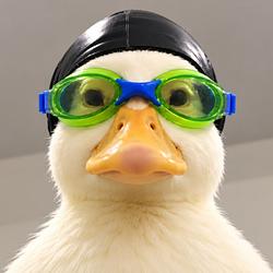NASDUCK / WETH