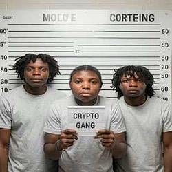 Cryptogang / SOL