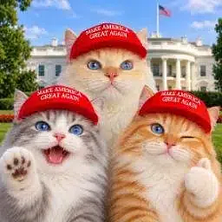 REPUBLICATS