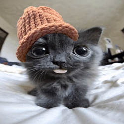 BLEP
