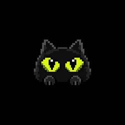 PETPAD