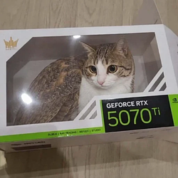 Gato Processing Unit