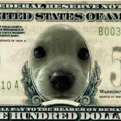 500BILLY