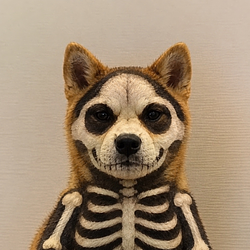 SKELETINU