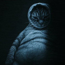 FATCAT