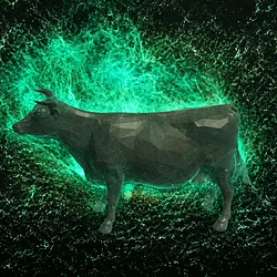 Mooo