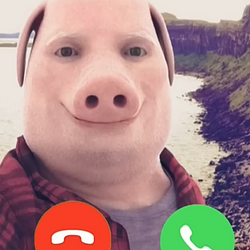pork
