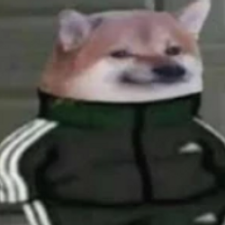 GI