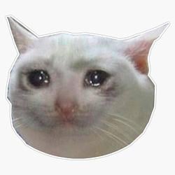 Crying Cat logo