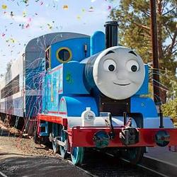 train
