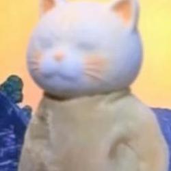 猫来