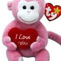 BEANIEBABY / SOL