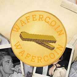 wafer
