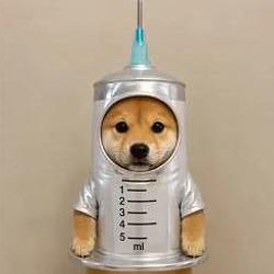 VACCINU
