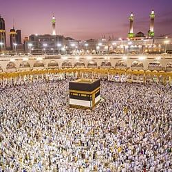 MECCA / SOL