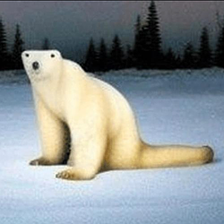 PolarBear