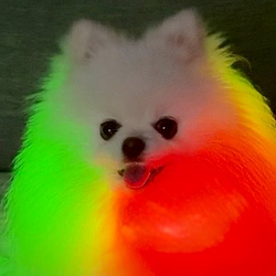 Omochi