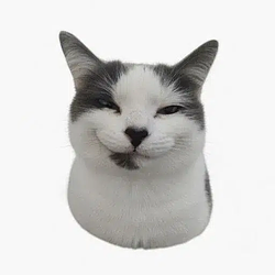 trollcat logo