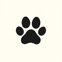 TEAMCAT