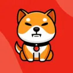 BABYSHIB / SOL