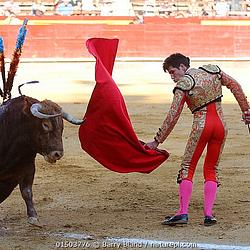 BULLFIGHT