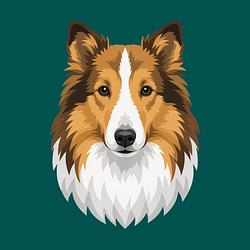 COLLIE