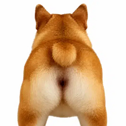 Inus
