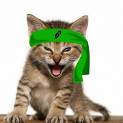 Roaring Kitty