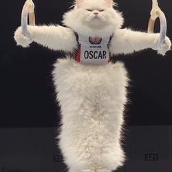 $OSCAR